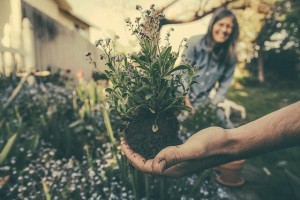 5 Ways to Come up with a Medicinal Herb Garden Plan gardening-exercise