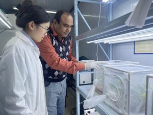 Pakistani-researcher-Muhammad-Salman-Hameed-working-assistant-professor-Central-China