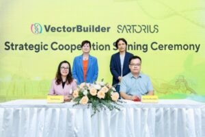 VectorBuilder